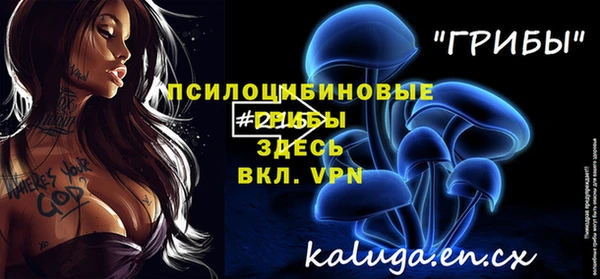 амф Бугульма
