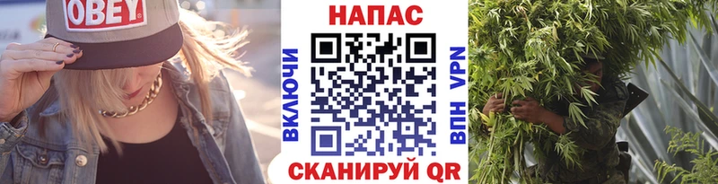 Каннабис планчик наркошоп Тотьма